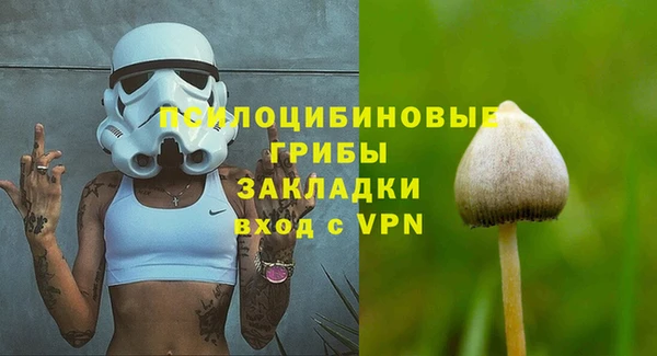 PSILOCYBIN Балабаново