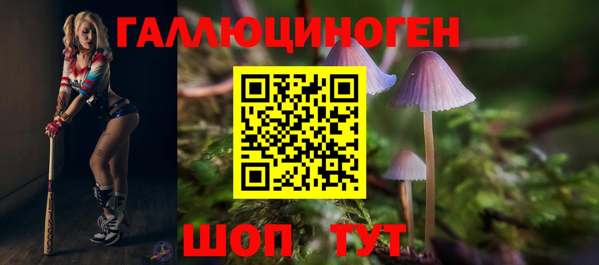 Псилоцибиновые грибы Psilocybine cubensis Саратов